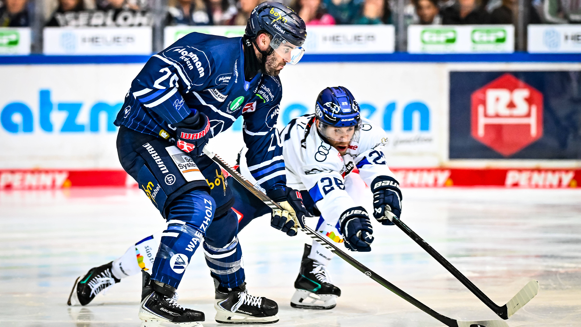 Iserlohn Roosters gg. ERC Ingolstadt